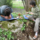 DSCN3387_JPG-1271614106