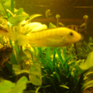 DSC00097_JPG-1271613530