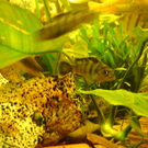 DSC00101_JPG-1271613556