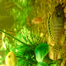 DSC00102_JPG-1271613562