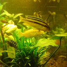 DSC00105_JPG-1271613574