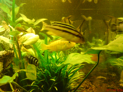 DSC00105_JPG-1271613574