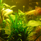 DSC00110_JPG-1271613587