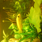 DSC00116_JPG-1271613606