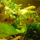 DSC00117_JPG-1271613613