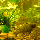 DSC00119_JPG-1271613619