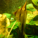 DSC00121_JPG-1271613625