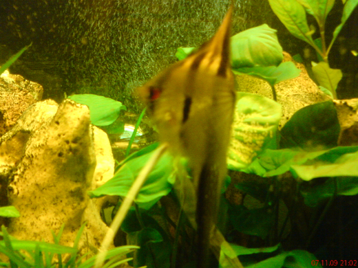 DSC00121_JPG-1271613625