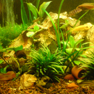 DSC00133_JPG-1271615735