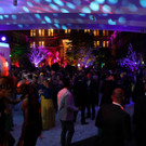Life Ball: Party im Rathaus