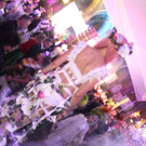 IMG_8686 _Andere_.JPG