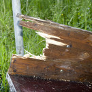 VU G_____fis PKW-Pferd08.JPG