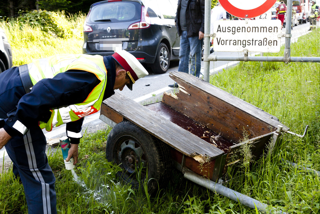 VU G_____fis PKW-Pferd23.JPG