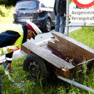 VU G_____fis PKW-Pferd23.JPG