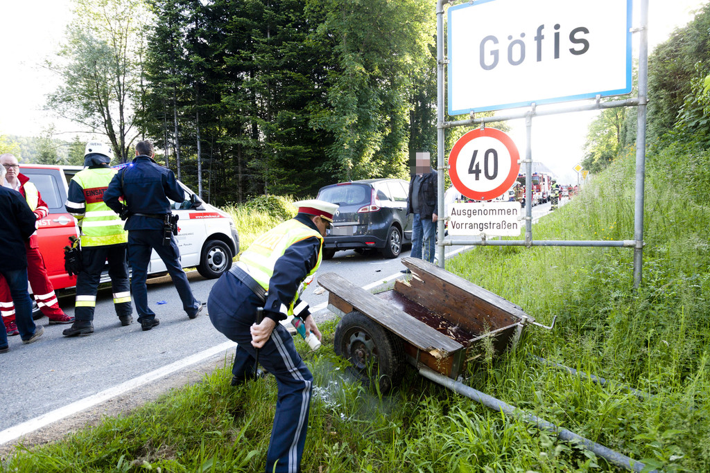 VU G_____fis PKW-Pferd24.JPG