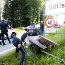 VU G_____fis PKW-Pferd24.JPG