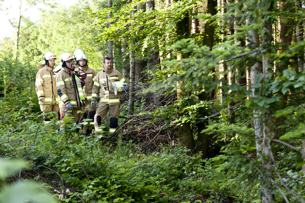 VU G_____fis PKW-Pferd25.JPG