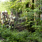 VU G_____fis PKW-Pferd25.JPG