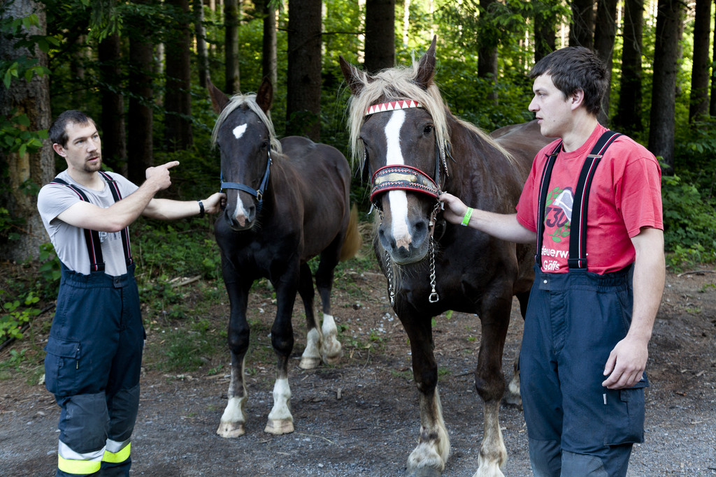 VU G_____fis PKW-Pferd30.JPG