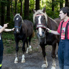 VU G_____fis PKW-Pferd30.JPG