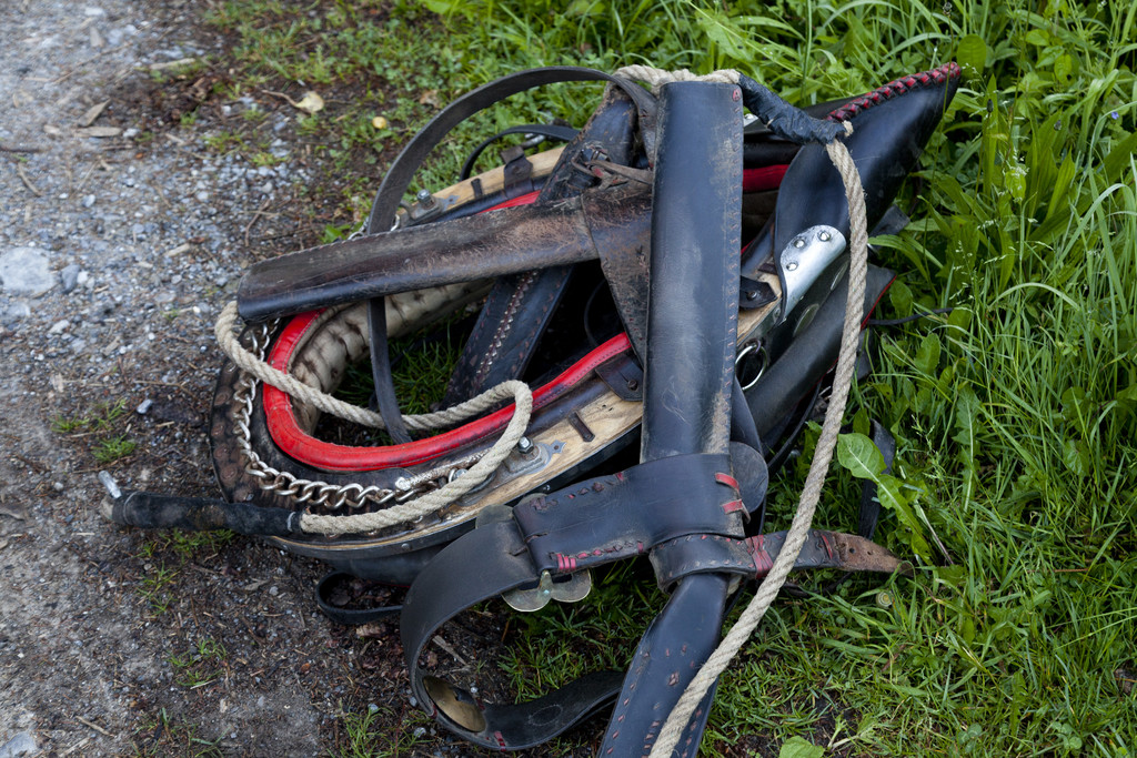 VU G_____fis PKW-Pferd34.JPG