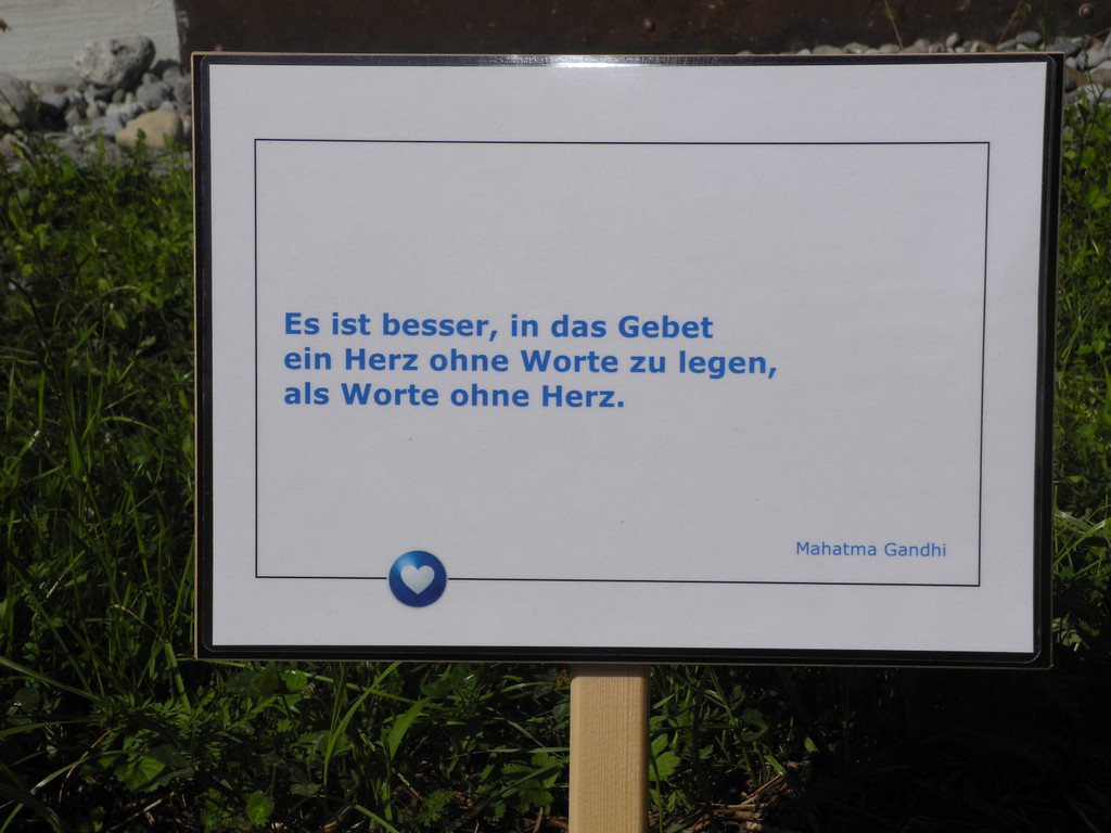 Bild 3.JPG