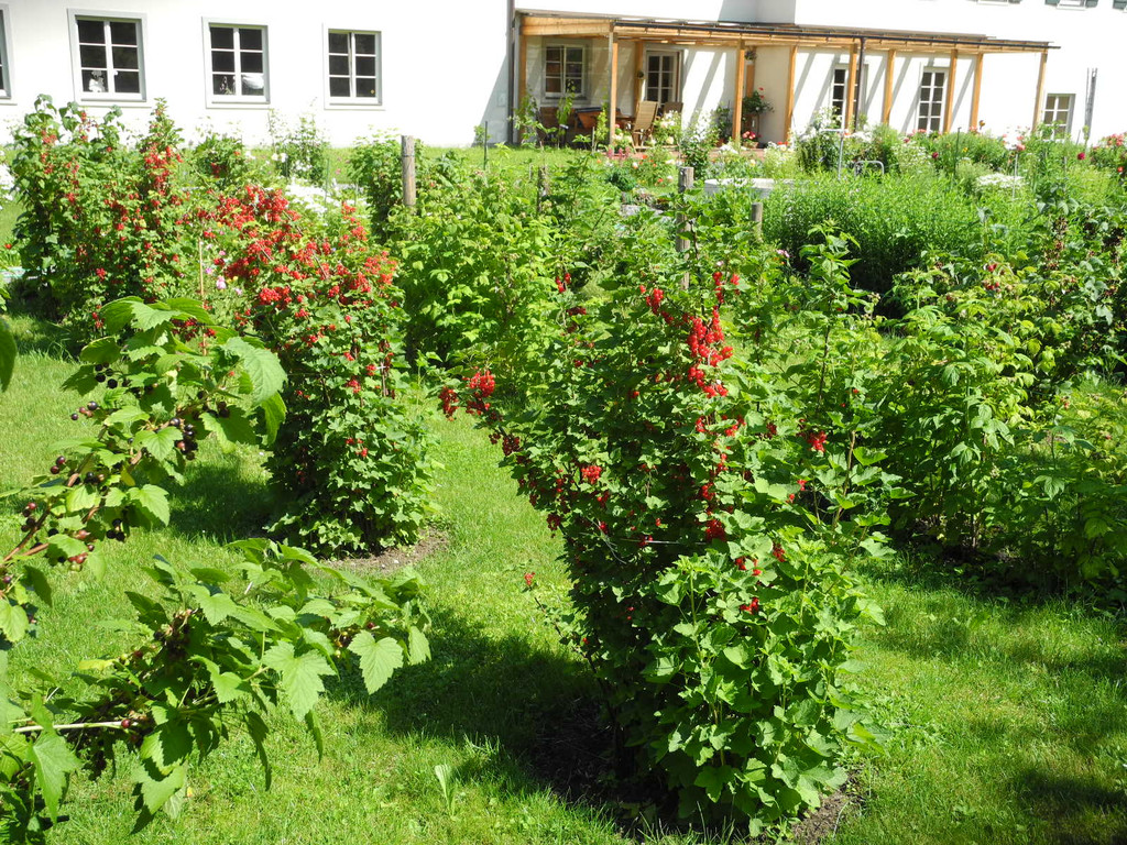 DSCN8159.JPG