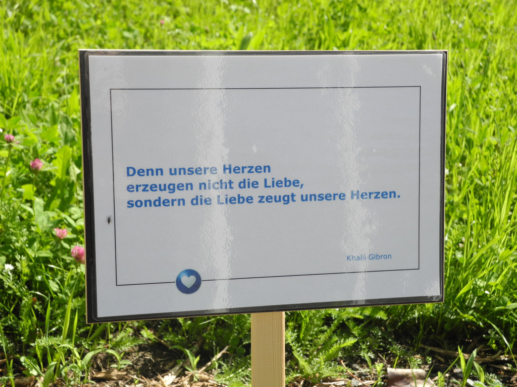DSCN8707.JPG