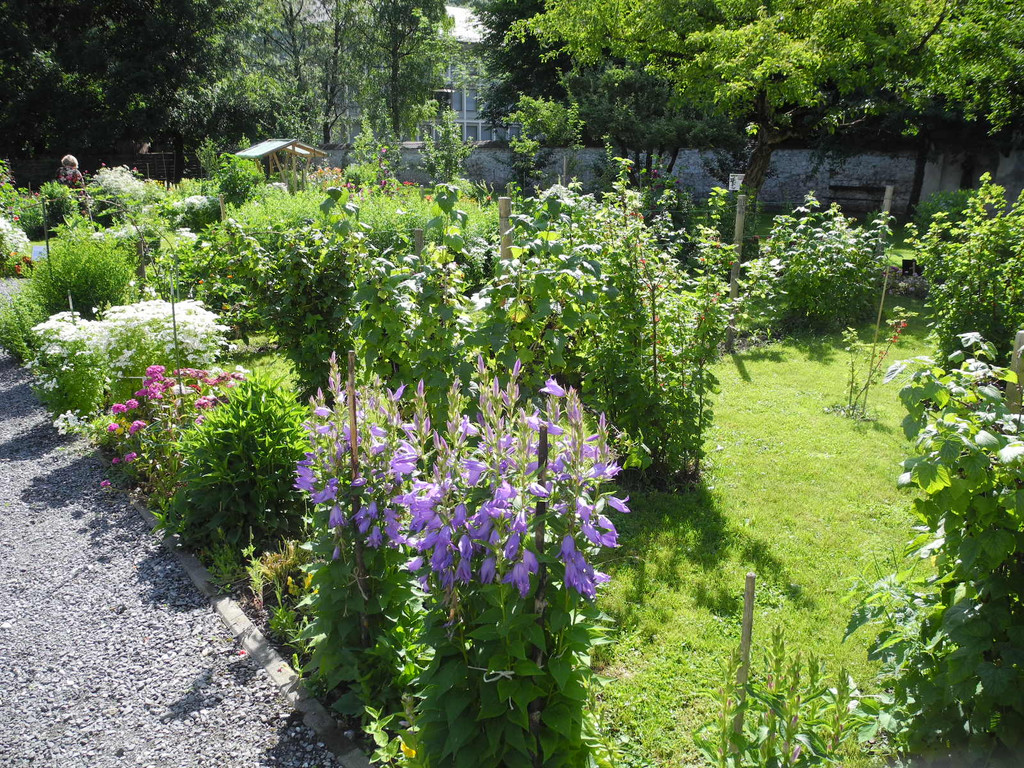 DSCN8712.JPG