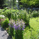 DSCN8712.JPG