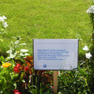DSCN8716.JPG