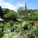 DSCN8724.JPG