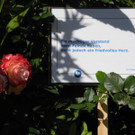 DSCN8728.JPG