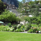 DSCN8732.JPG