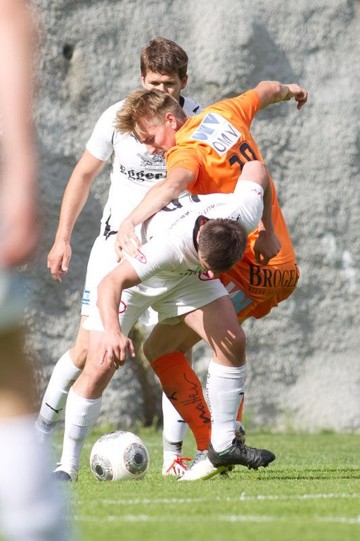 file6fj3dv8muy917fxc44aa.jpg
