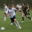 Maeder - Hoechst 010 180_jpg-1271618724