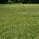 IMG_7754.JPG