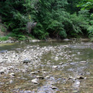 IMG_7765.JPG