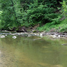 IMG_7766.JPG