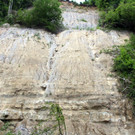 IMG_7774.JPG