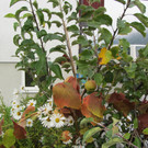 IMG_4412.JPG