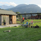 IMG_4521.JPG