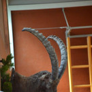 DSC_9986.jpg