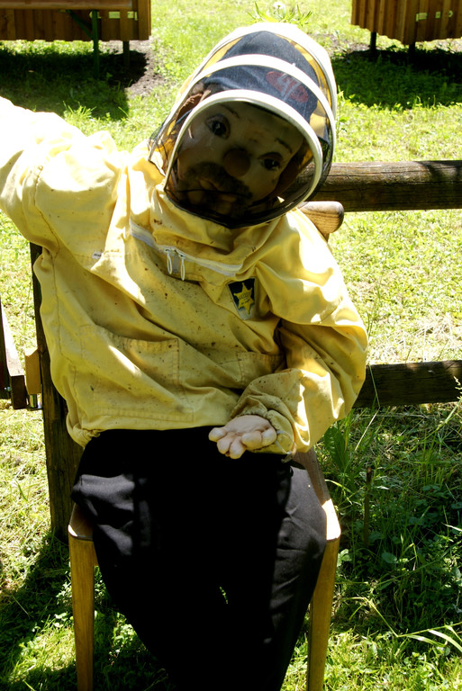 50 Der Imker passte auf die Bienen auf.JPG