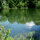 75.JPG