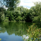 77.JPG