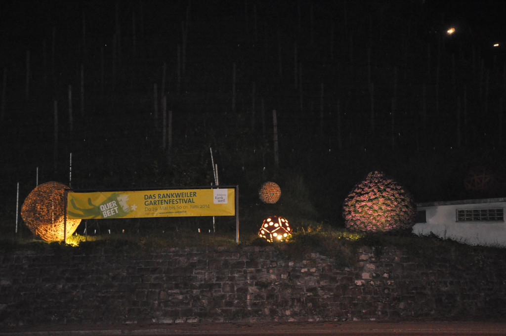 DSC_0005.JPG