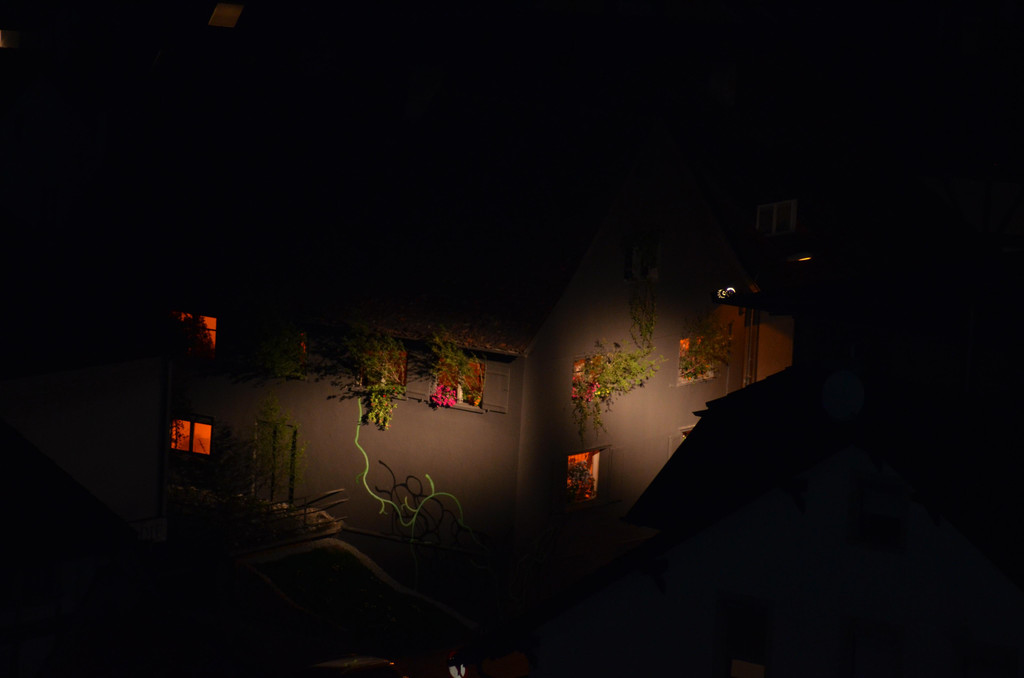 DSC_7008.JPG