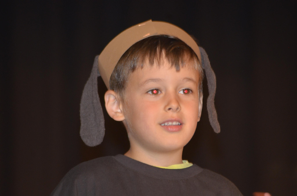 DSC_6923.JPG