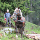Holz2.jpg